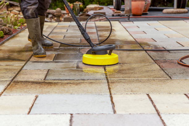 Best Dumpster Area Cleaning  in Viola, NY