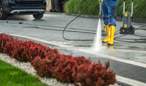 Best Parking Lot and Garage Cleaning  in Viola, NY