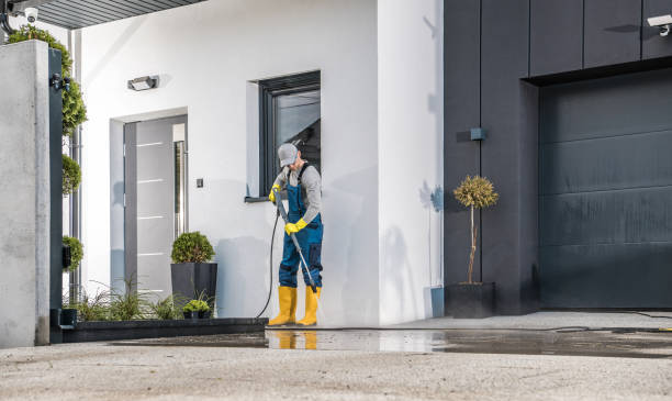 Best Driveway Pressure Washing  in Viola, NY